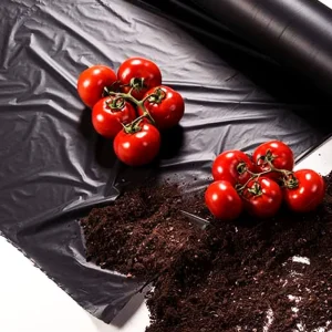Acolchado para huerto film de polietileno ancho 1 metro perforado galga 200 perforado especial cultivo de tomates