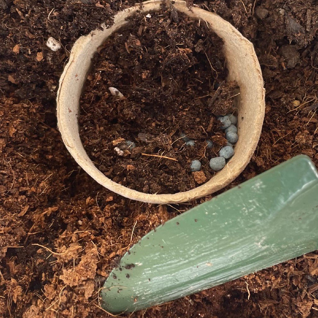 Kit Cultivo Iniciación y crecimiento Jardinería. Macetas y herramientas para cultivo. Germinación y crecimiento - Imagen 8