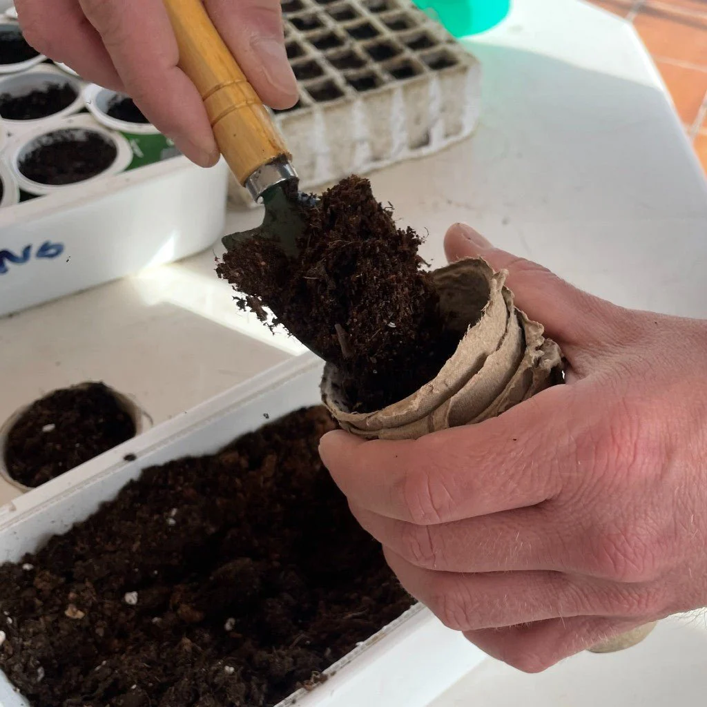 Kit Cultivo Iniciación y crecimiento Jardinería. Macetas y herramientas para cultivo. Germinación y crecimiento - Imagen 7