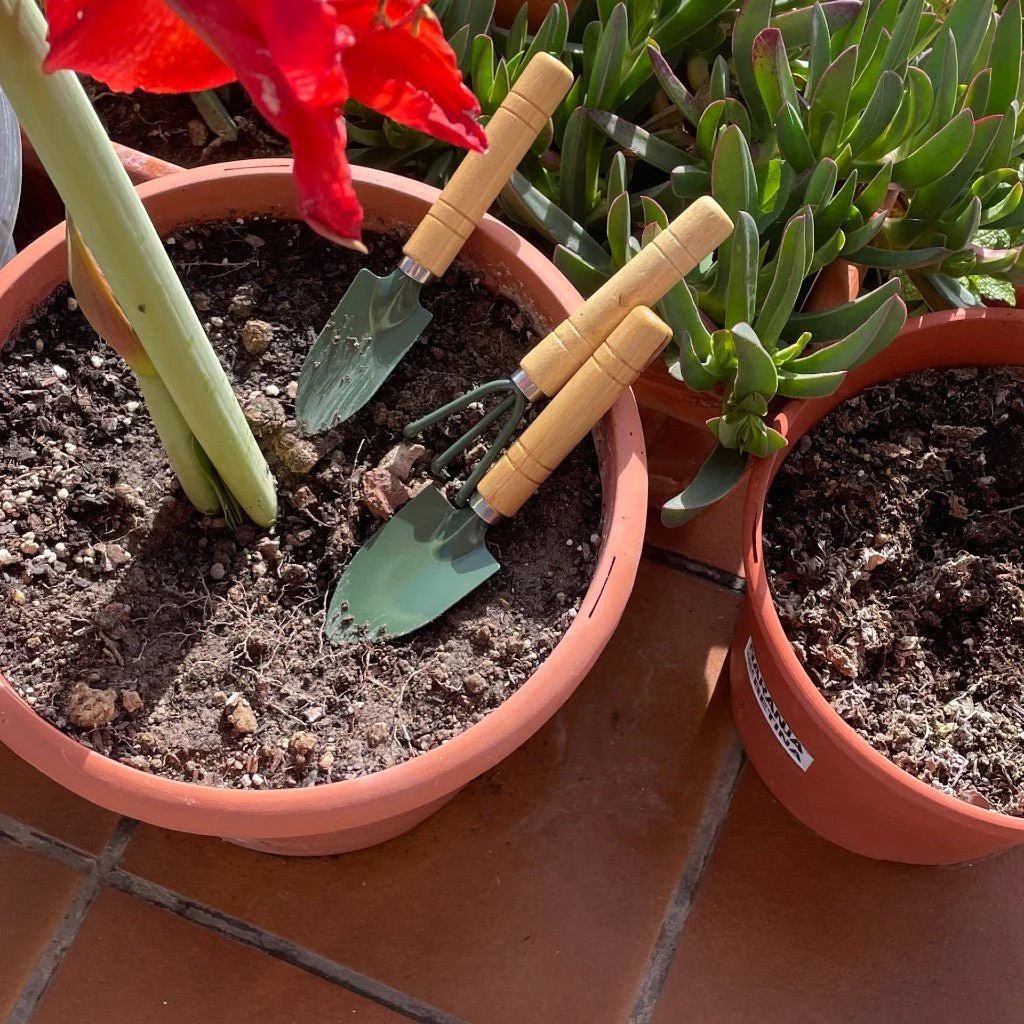 Kit Cultivo Iniciación y crecimiento Jardinería. Macetas y herramientas para cultivo. Germinación y crecimiento - Imagen 5
